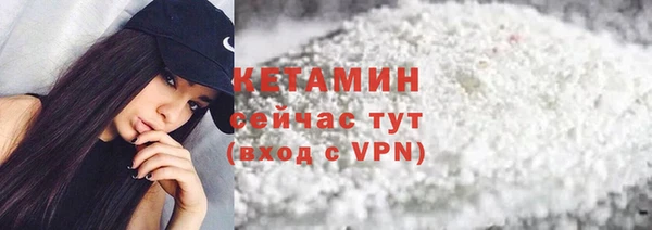 твердый Пересвет