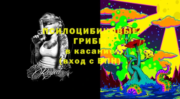 твердый Пересвет