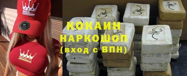 твердый Пересвет