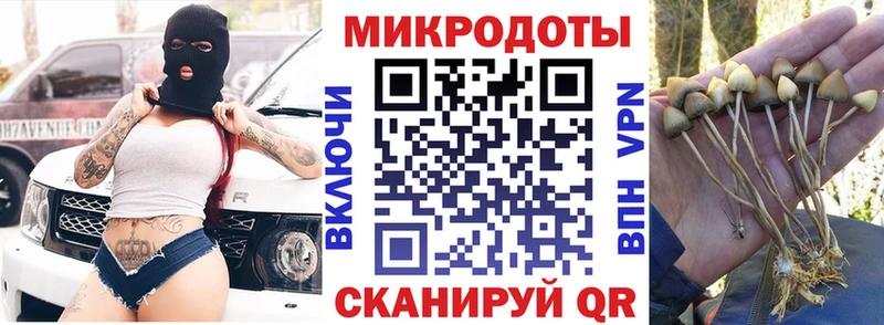 Псилоцибиновые грибы GOLDEN TEACHER  Купить  Пущино 